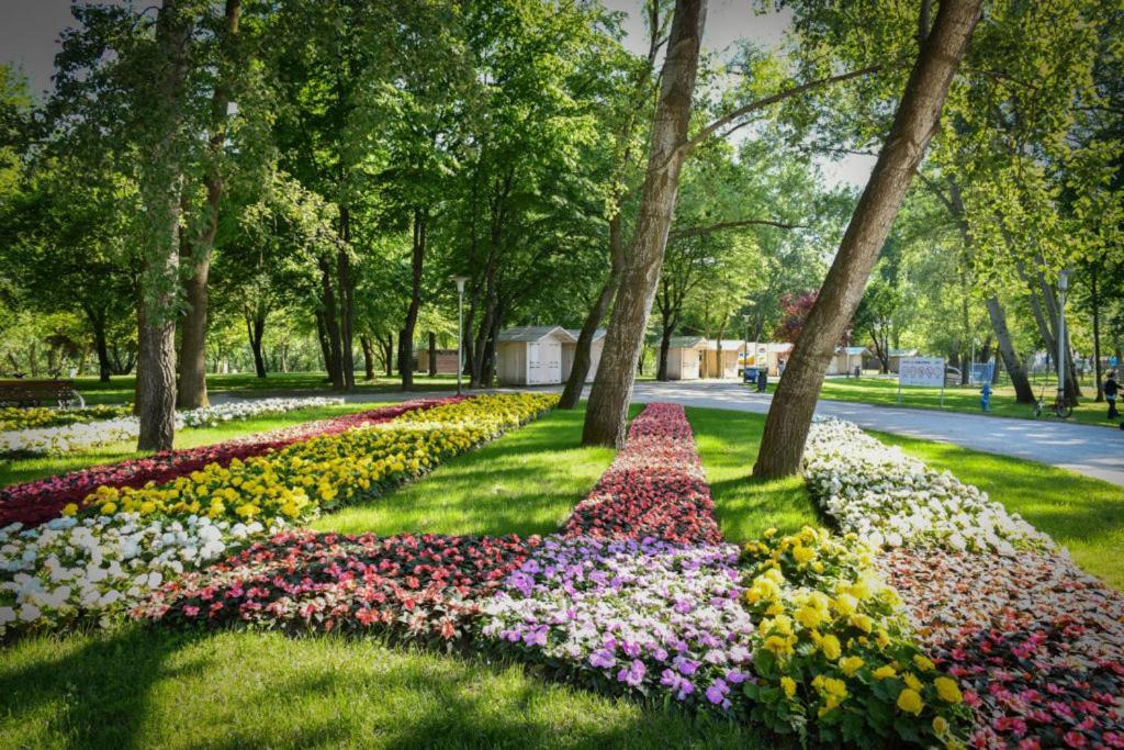 Lola Suite Zagreb Ngoại thất bức ảnh